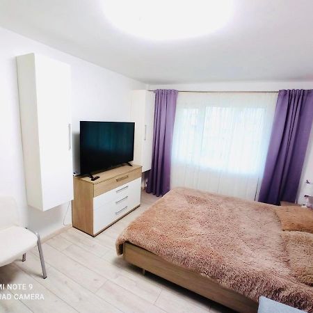 Garsoniera Daniela Apartman Aknavásár Kültér fotó