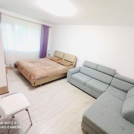 Garsoniera Daniela Apartman Aknavásár Kültér fotó