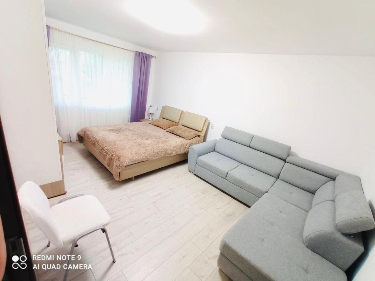 Garsoniera Daniela Apartman Aknavásár Kültér fotó